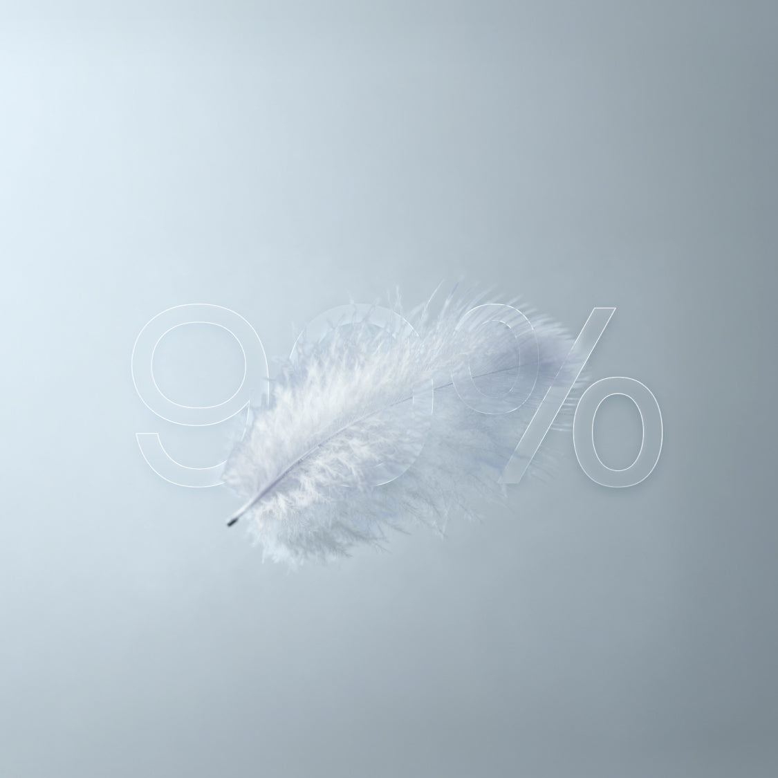 800-Fill White Goose Down